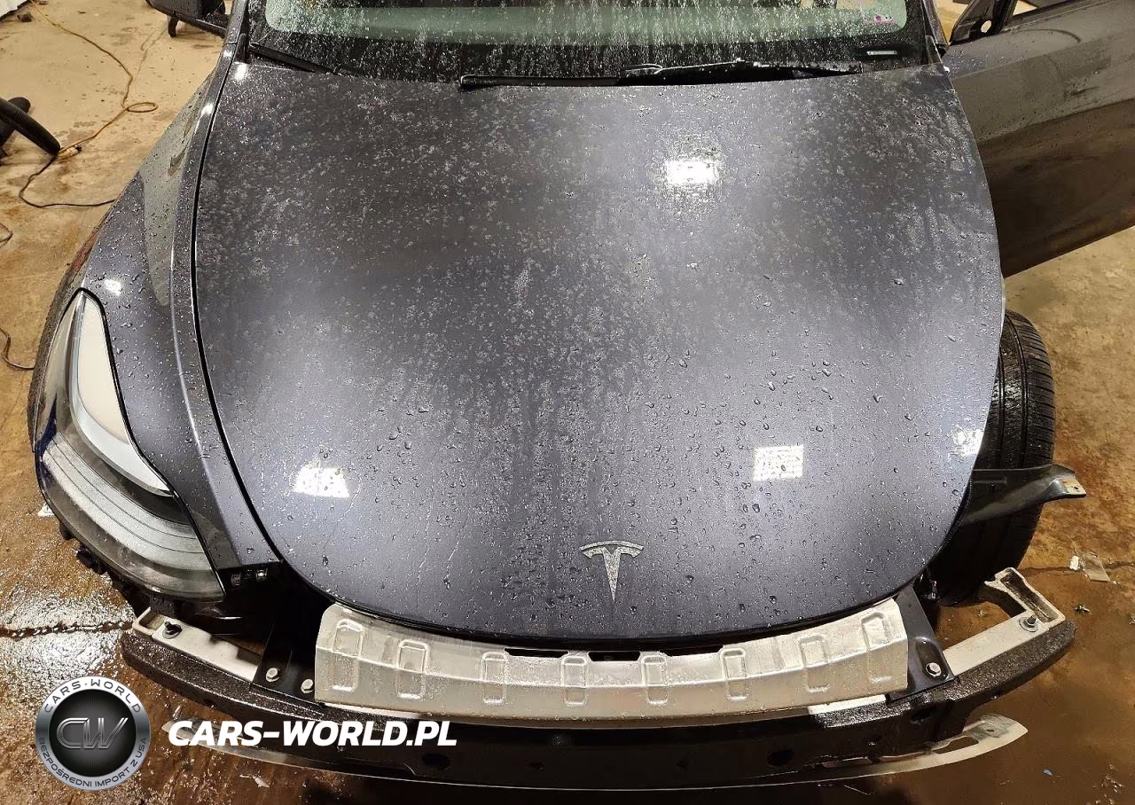 2025 Tesla Model Y VIN:7SAYGDEE0SA352137 - 12