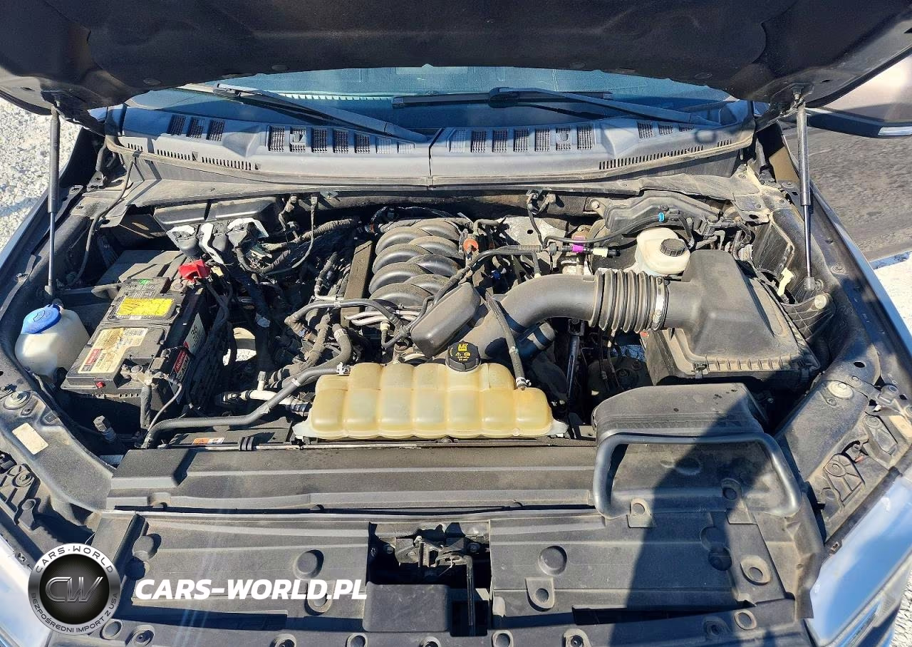 2019 Ford F150 Supercrew VIN:1FTEW1E54KFA65495 - 11