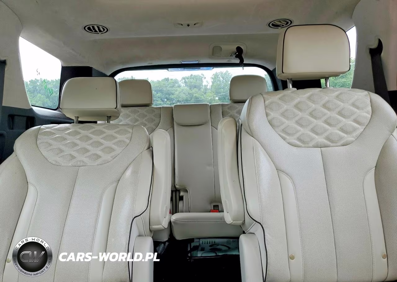 2020 Hyundai Palisade Limited VIN:KM8R5DHEXLU070100 - 10