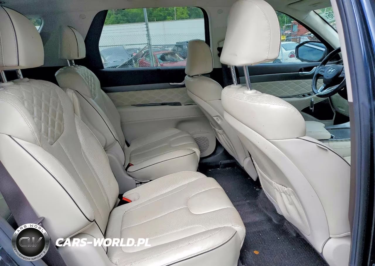 2020 Hyundai Palisade Limited VIN:KM8R5DHEXLU070100 - 11