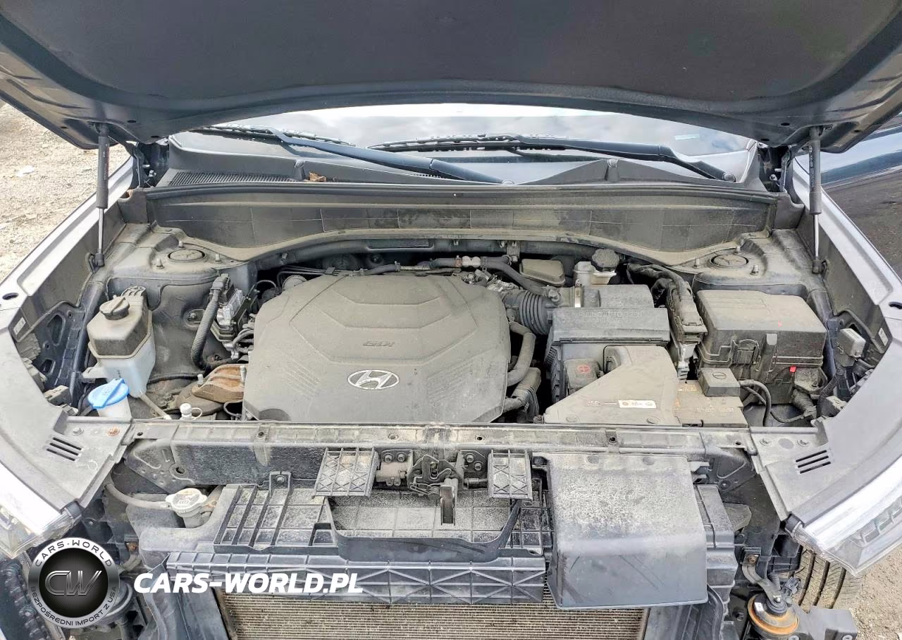 2020 Hyundai Palisade Limited VIN:KM8R5DHEXLU070100 - 12