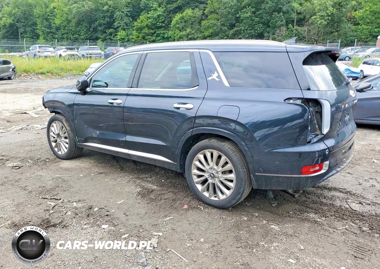 2020 Hyundai Palisade Limited VIN:KM8R5DHEXLU070100 - 2