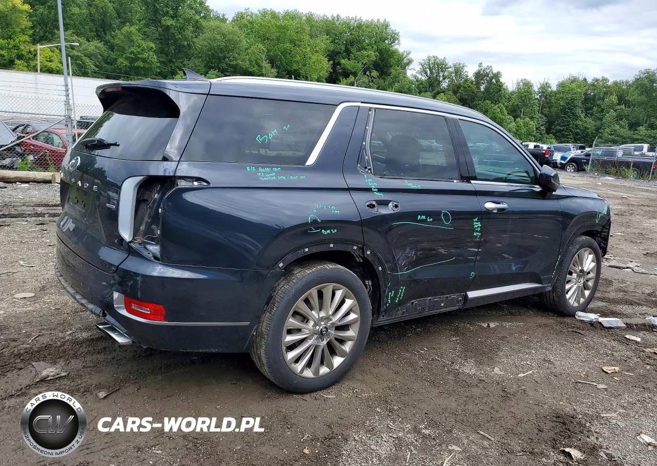 2020 Hyundai Palisade Limited VIN:KM8R5DHEXLU070100 - 3