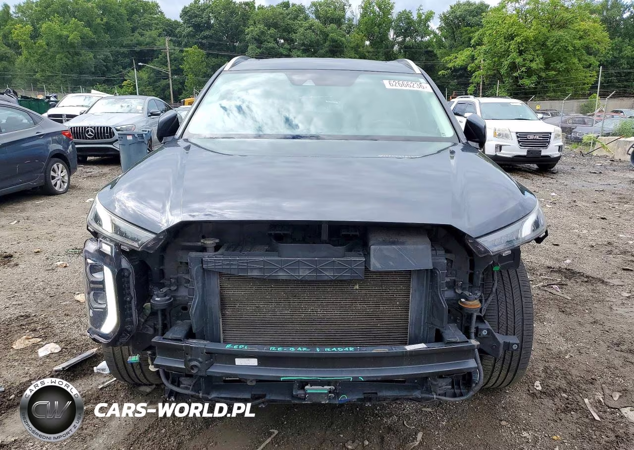 2020 Hyundai Palisade Limited VIN:KM8R5DHEXLU070100 - 5