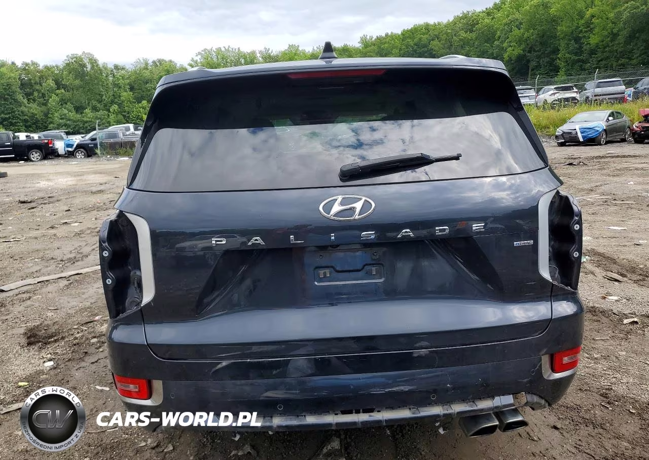 2020 Hyundai Palisade Limited VIN:KM8R5DHEXLU070100 - 6