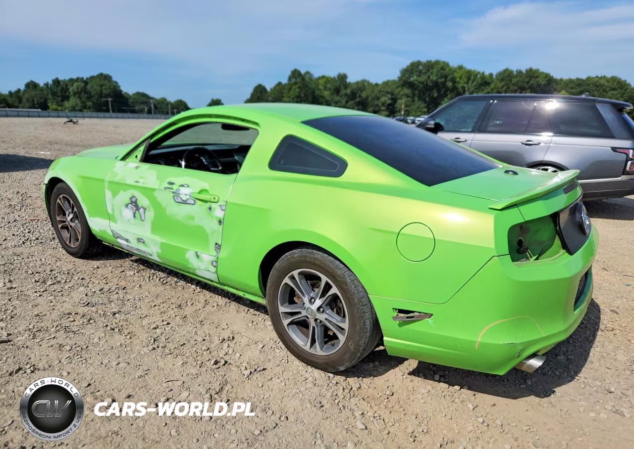 2013 Ford Mustang VIN:1ZVBP8AM3D5283195 - 2