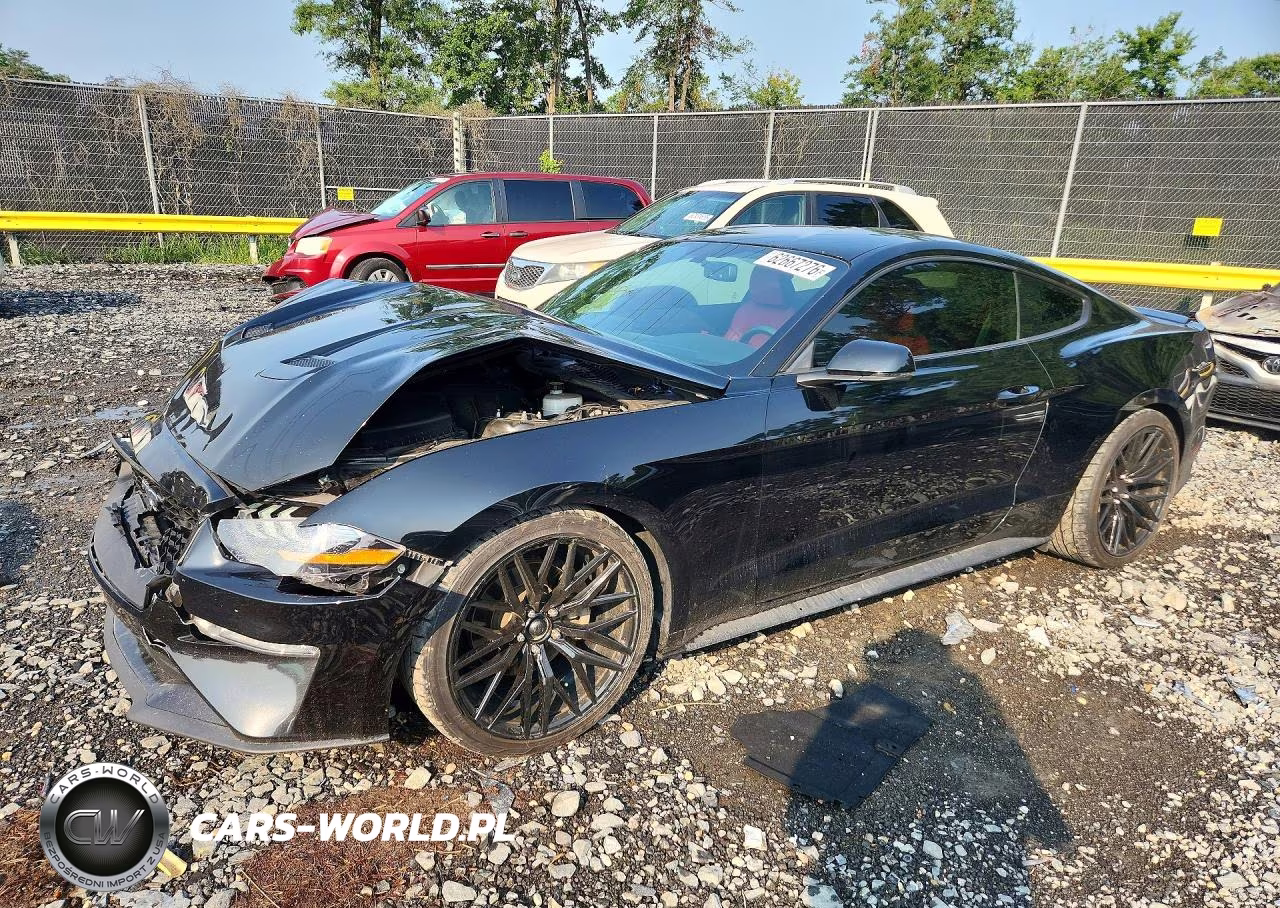 2019 Ford Mustang VIN:1FA6P8TH2K5138043 - 1