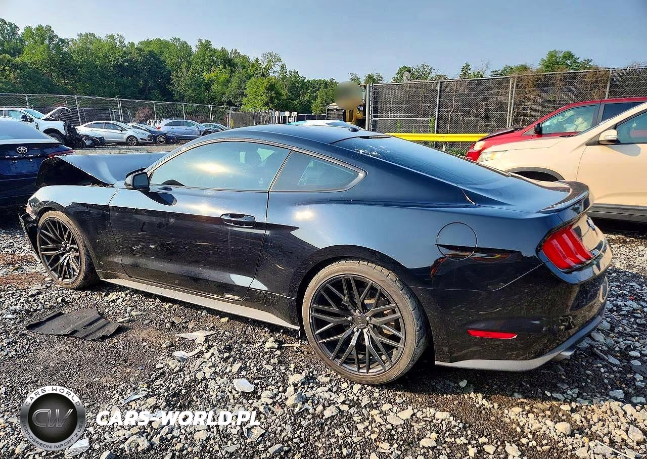 2019 Ford Mustang VIN:1FA6P8TH2K5138043 - 2