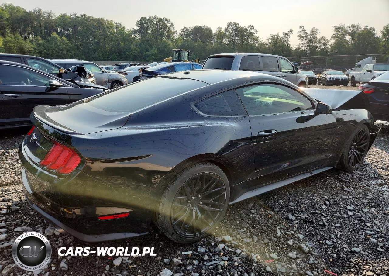 2019 Ford Mustang VIN:1FA6P8TH2K5138043 - 3