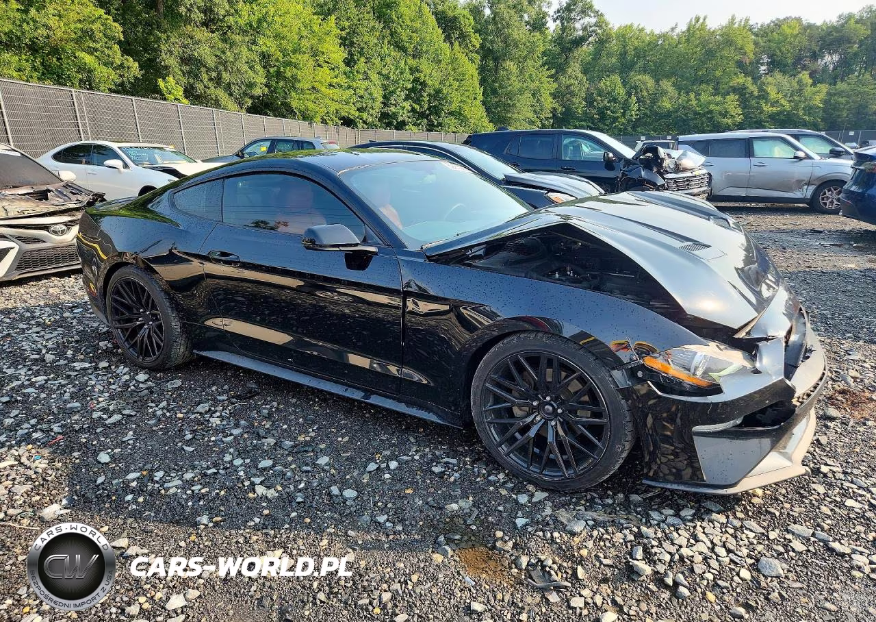 2019 Ford Mustang VIN:1FA6P8TH2K5138043 - 4
