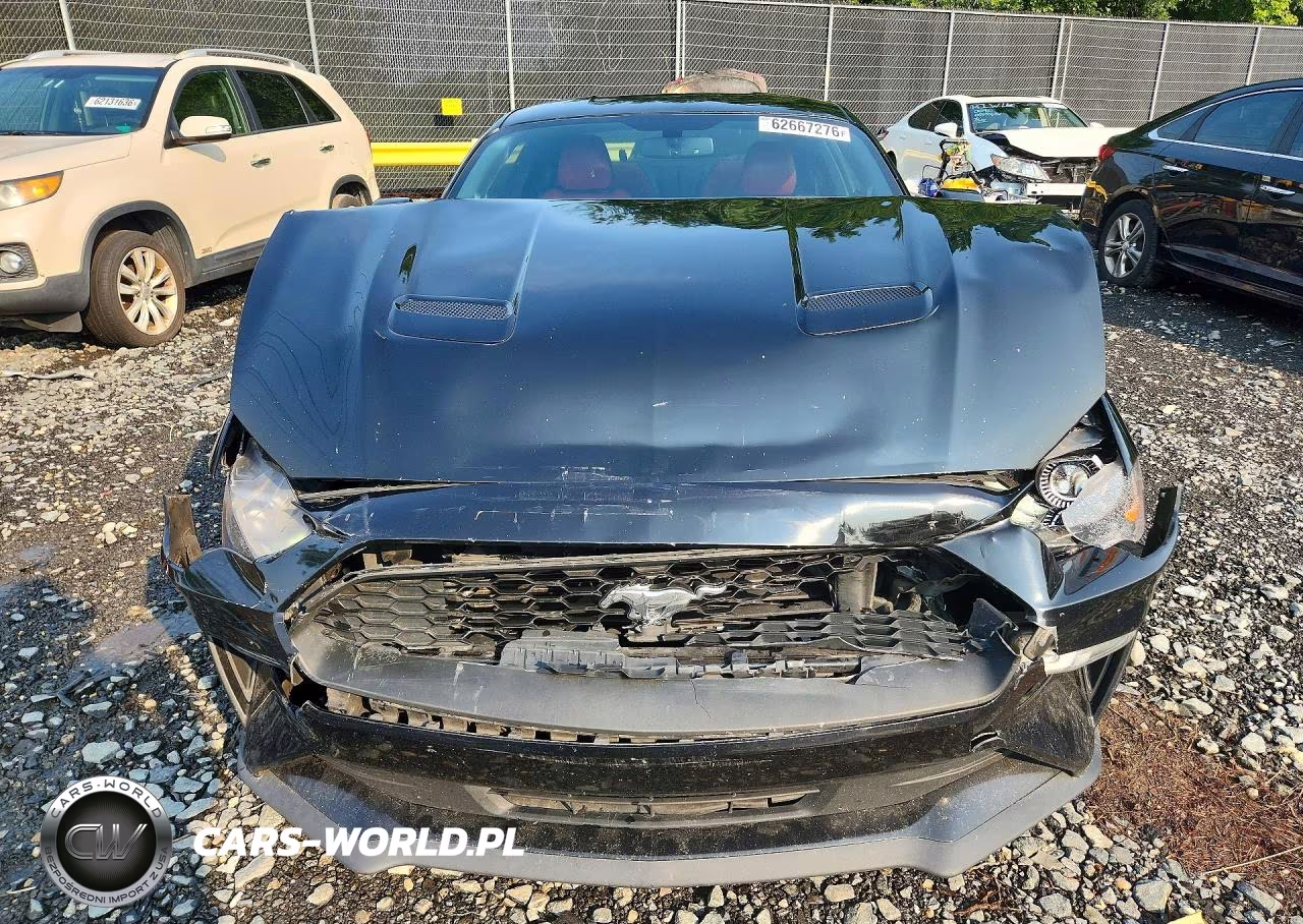 2019 Ford Mustang VIN:1FA6P8TH2K5138043 - 5