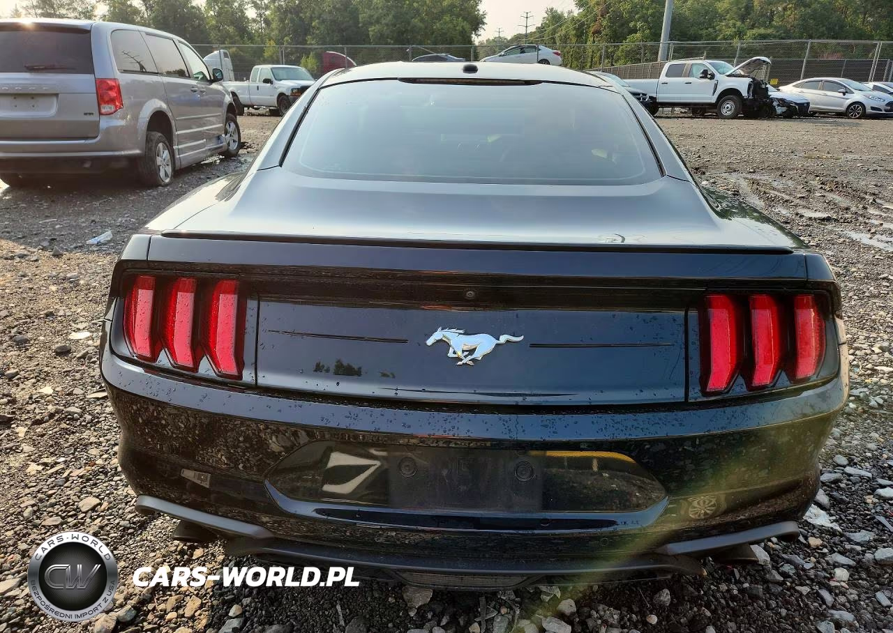 2019 Ford Mustang VIN:1FA6P8TH2K5138043 - 6