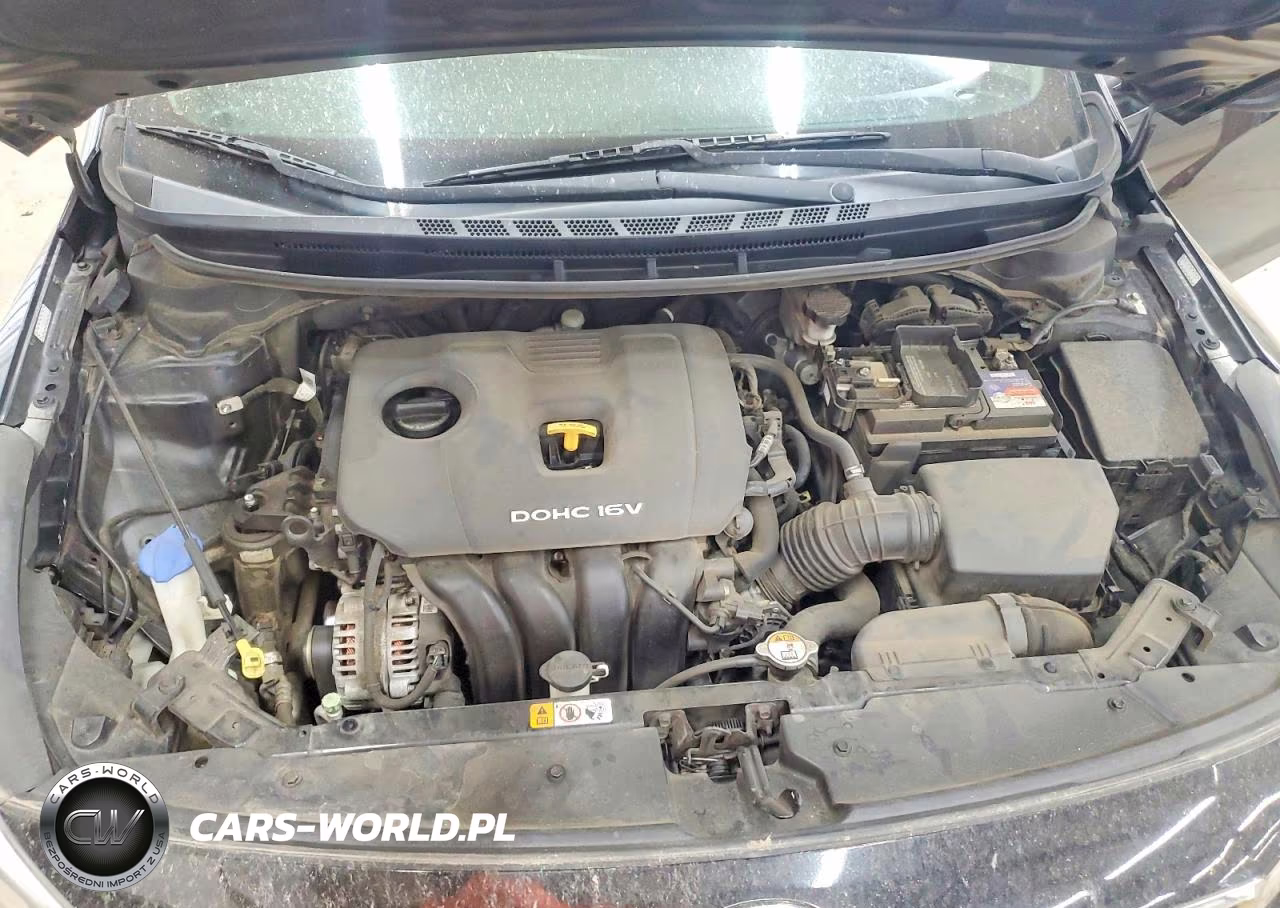 2017 Kia Forte Lx VIN:3KPFK4A77HE059427 - 11