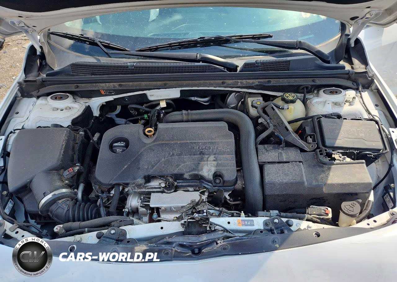 2019 Chevrolet Malibu Lt VIN:1G1ZD5ST9KF115950 - 11