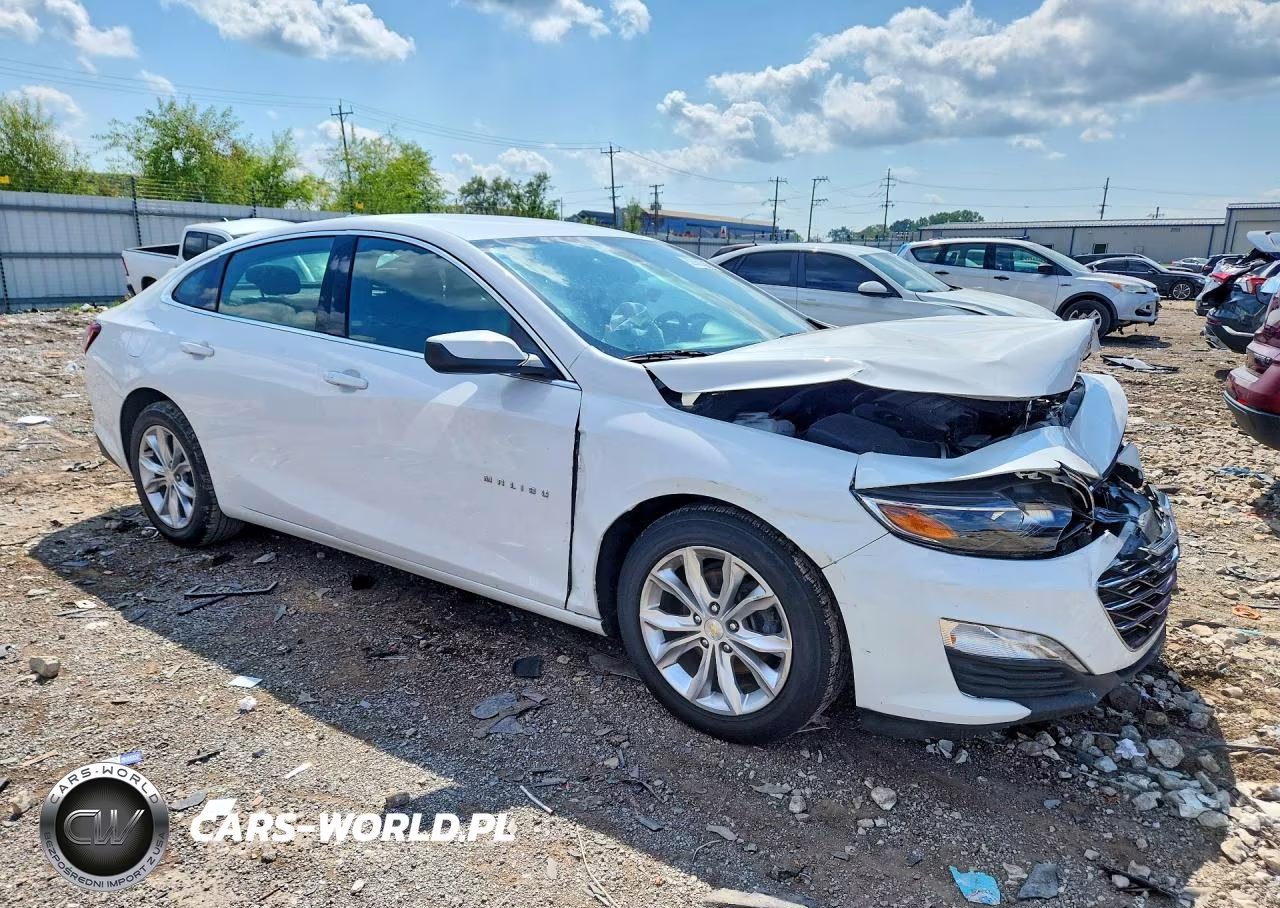 2019 Chevrolet Malibu Lt VIN:1G1ZD5ST9KF115950 - 4