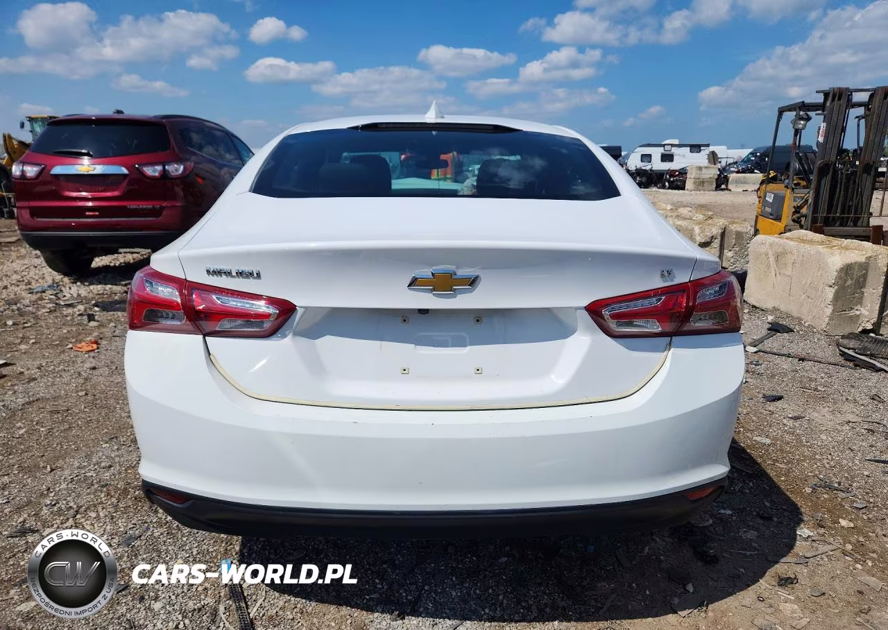 2019 Chevrolet Malibu Lt VIN:1G1ZD5ST9KF115950 - 6