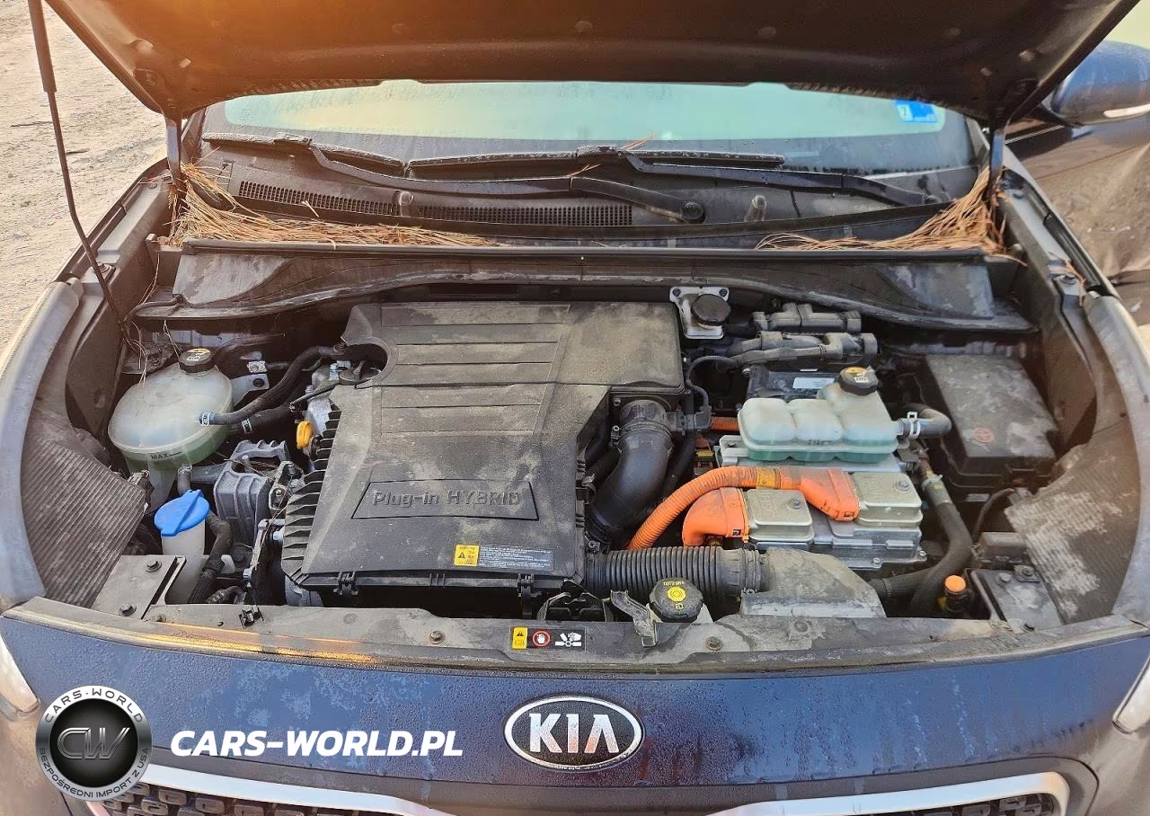 2019 Kia Niro Ex VIN:KNDCD3LDXK5222634 - 12