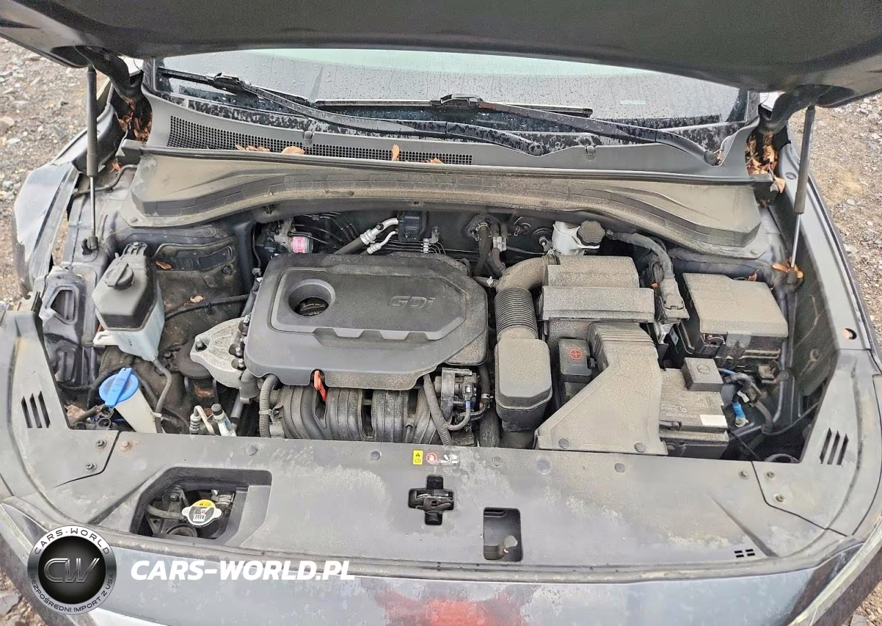 2020 Hyundai Santa Fe Se VIN:5NMS2CAD1LH231404 - 12
