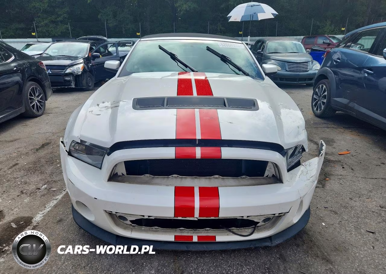 2012 Ford Mustang Shelby Gt500 VIN:1ZVBP8KSXC5215021 - 5