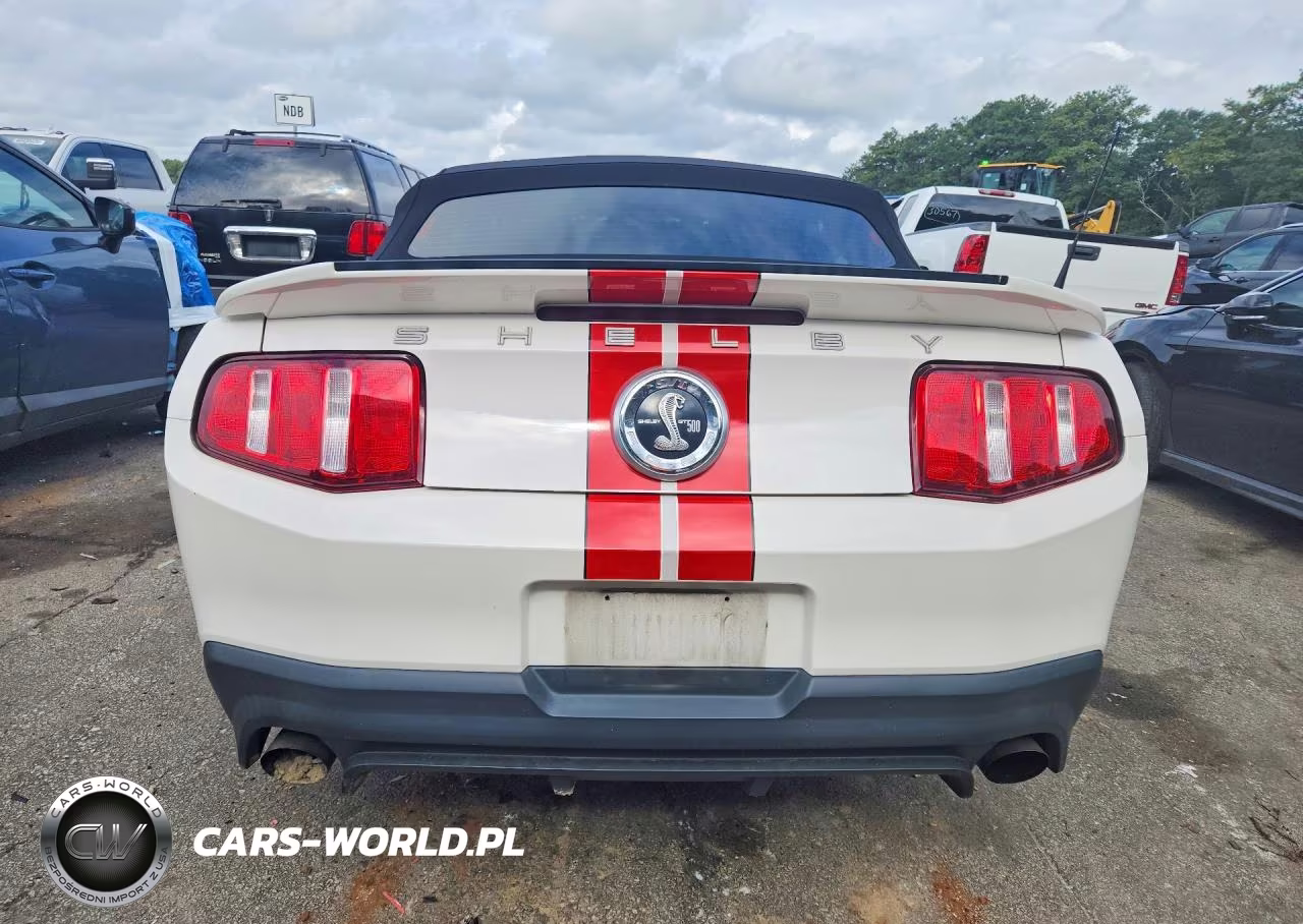 2012 Ford Mustang Shelby Gt500 VIN:1ZVBP8KSXC5215021 - 6