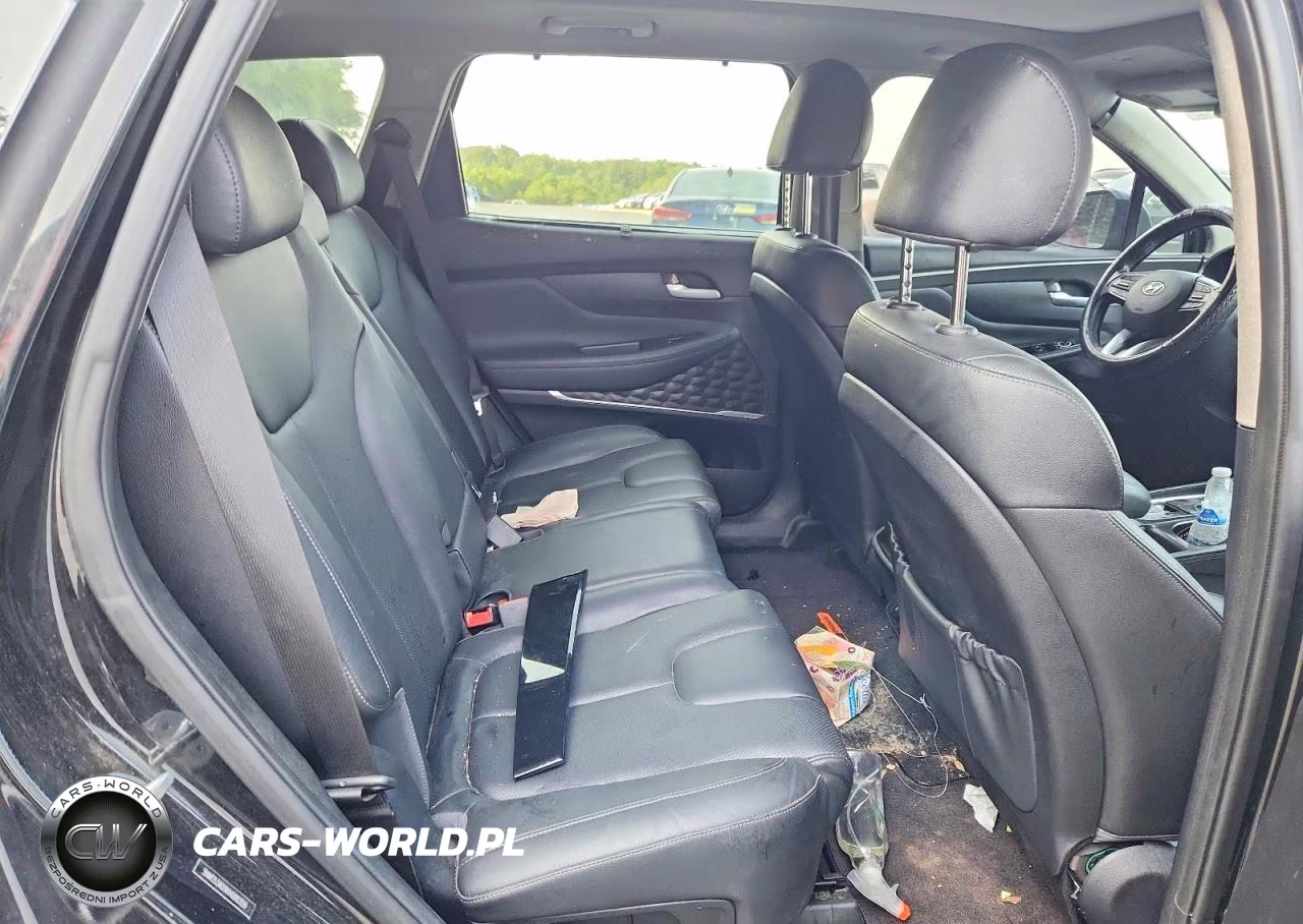 2019 Hyundai Santa Fe Limited 2.4L VIN:5NMS53ADXKH000359 - 10