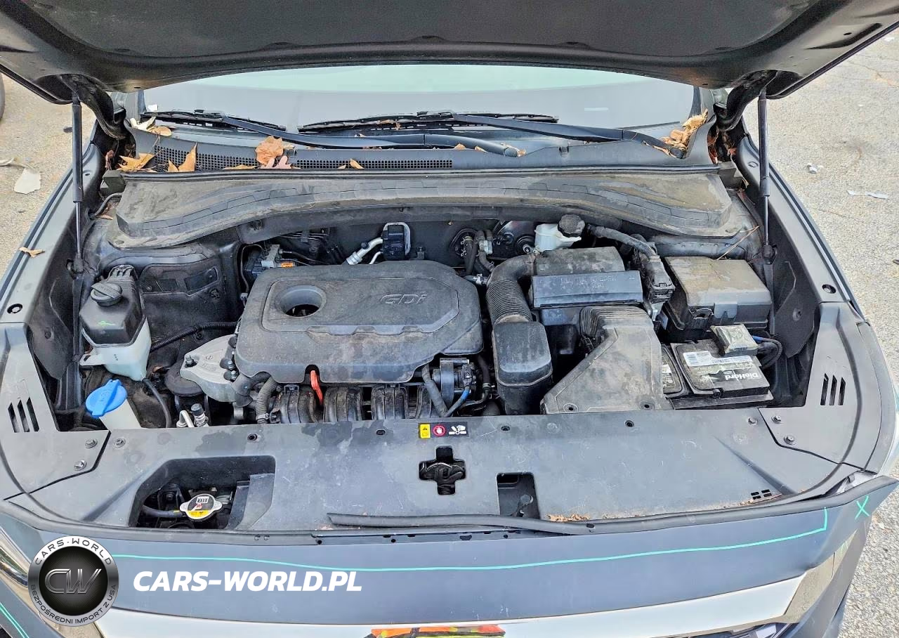 2019 Hyundai Santa Fe Limited 2.4L VIN:5NMS53ADXKH000359 - 11