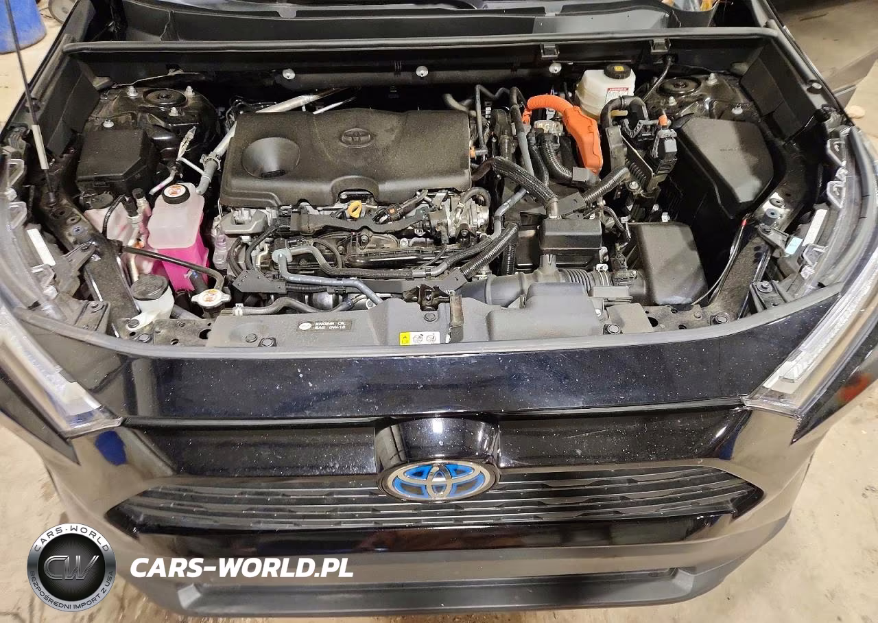 2024 Toyota Rav4 Hybrid Xle VIN:4T3RWRFV1RU163245 - 12