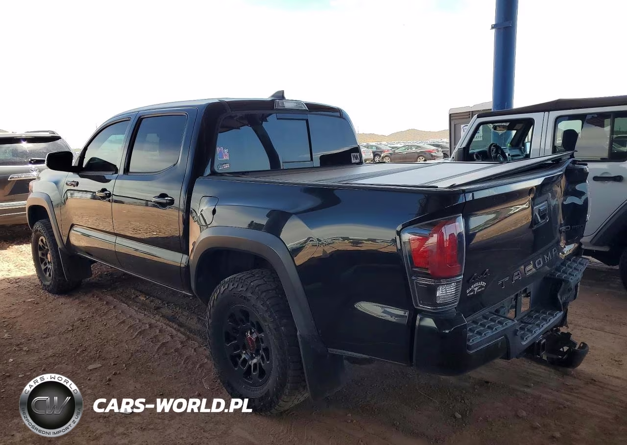 2019 Toyota Tacoma Trd Pro VIN:5TFCZ5AN9KX186058 - 2