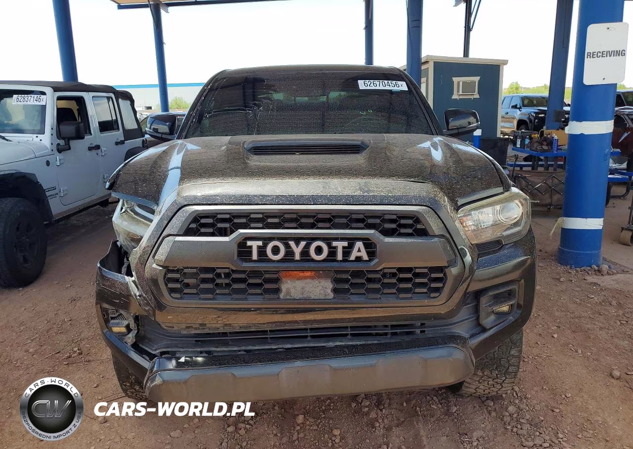 2019 Toyota Tacoma Trd Pro VIN:5TFCZ5AN9KX186058 - 5