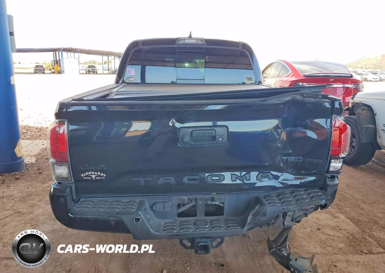 2019 Toyota Tacoma Trd Pro VIN:5TFCZ5AN9KX186058 - 6