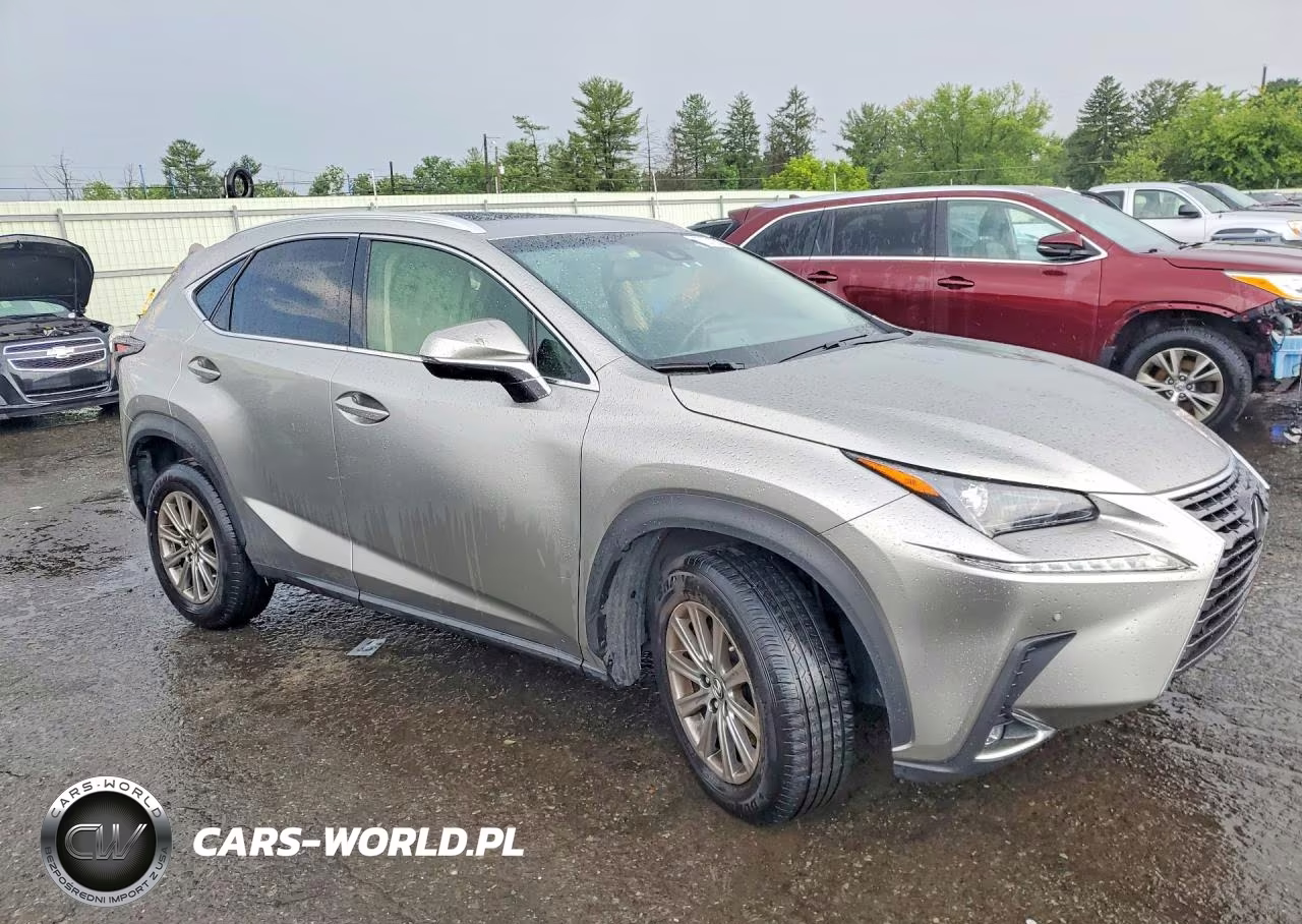 2018 Lexus Nx 300 Base VIN:JTJBARBZXJ2178913 - 4