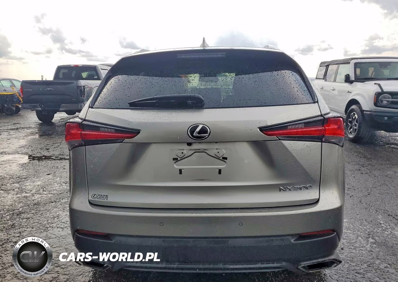 2018 Lexus Nx 300 Base VIN:JTJBARBZXJ2178913 - 6