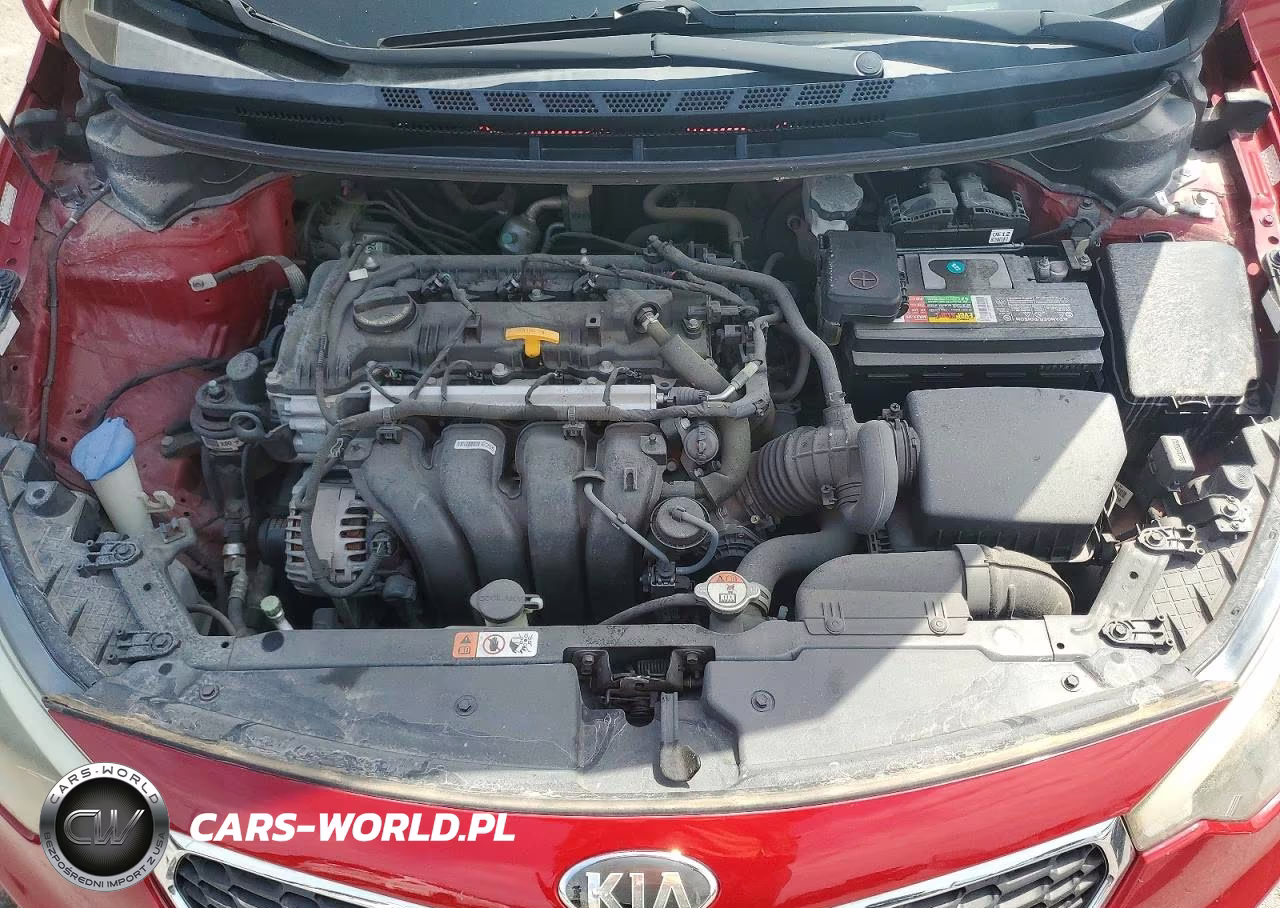 2016 Kia Forte Lx VIN:KNAFK4A64G5598652 - 11