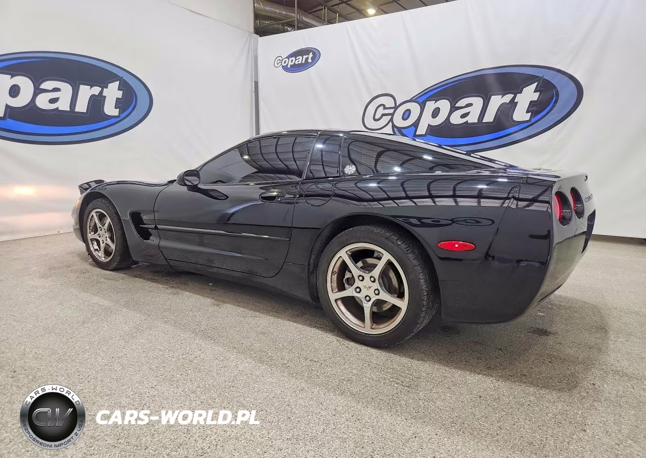 2003 Chevrolet Corvette VIN:1G1YY22G335101938 - 2