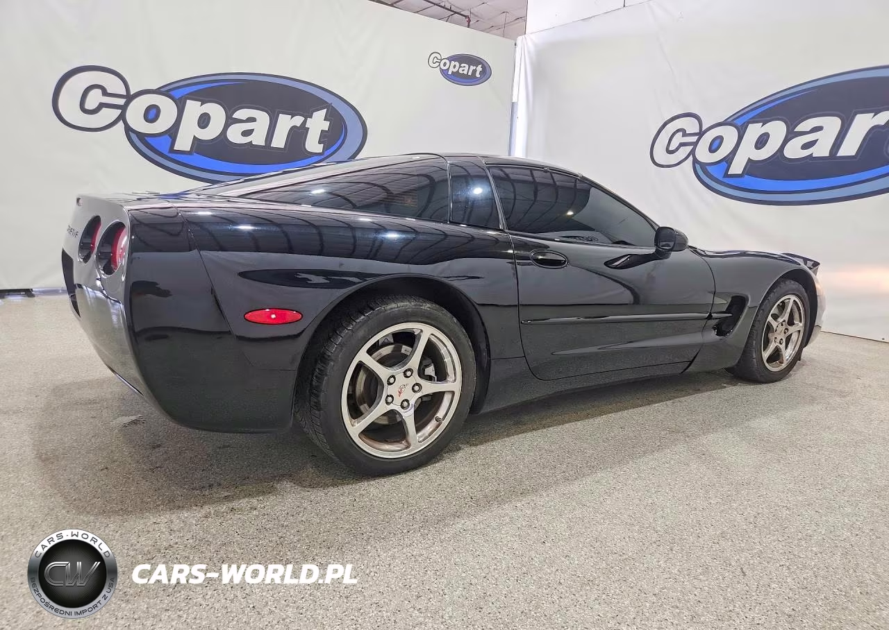 2003 Chevrolet Corvette VIN:1G1YY22G335101938 - 3