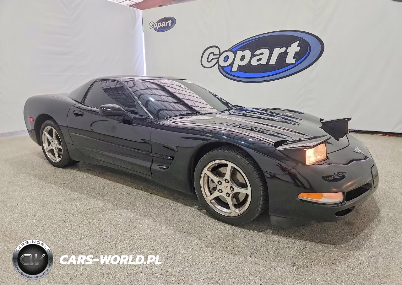 2003 Chevrolet Corvette VIN:1G1YY22G335101938 - 4