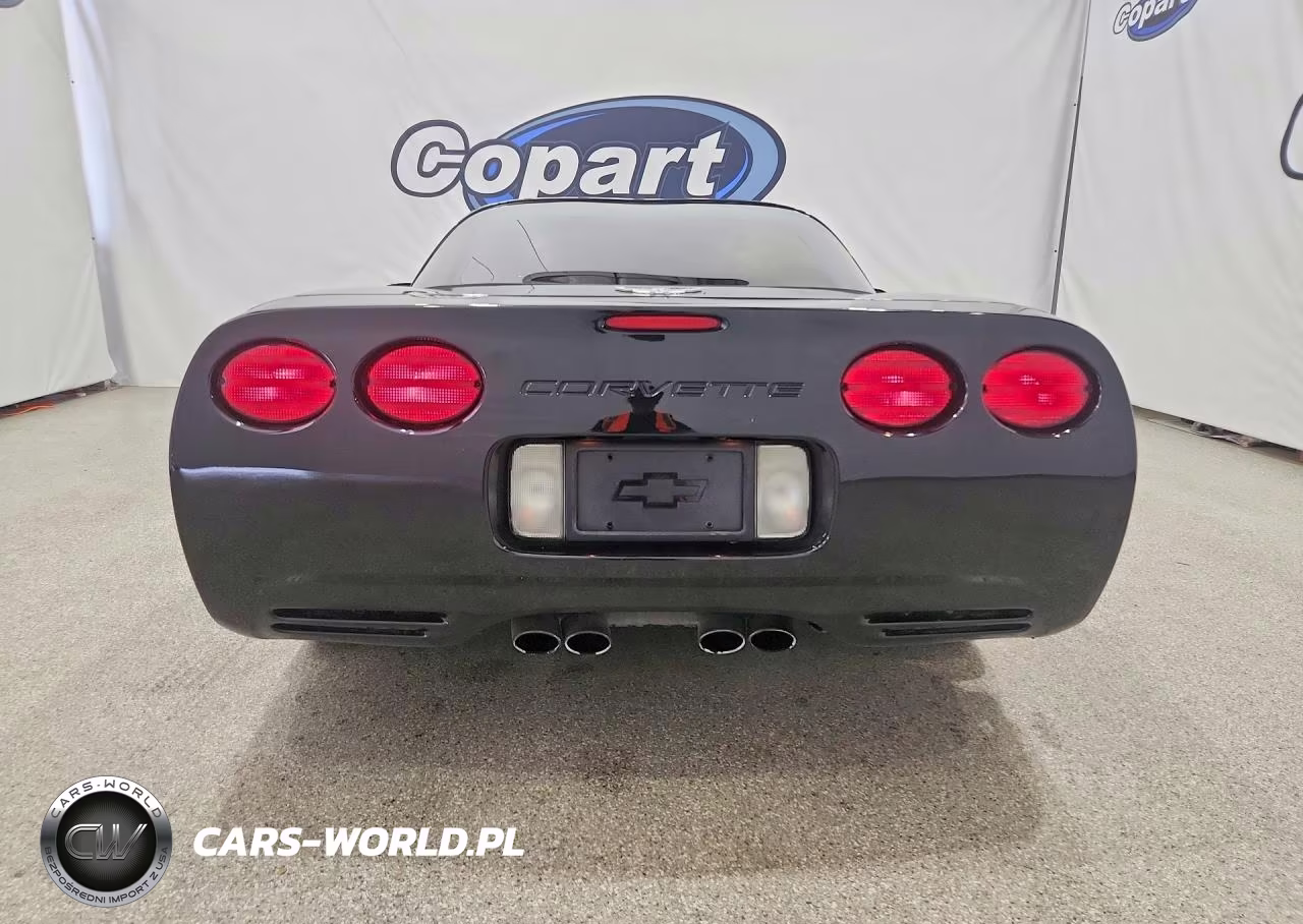 2003 Chevrolet Corvette VIN:1G1YY22G335101938 - 6