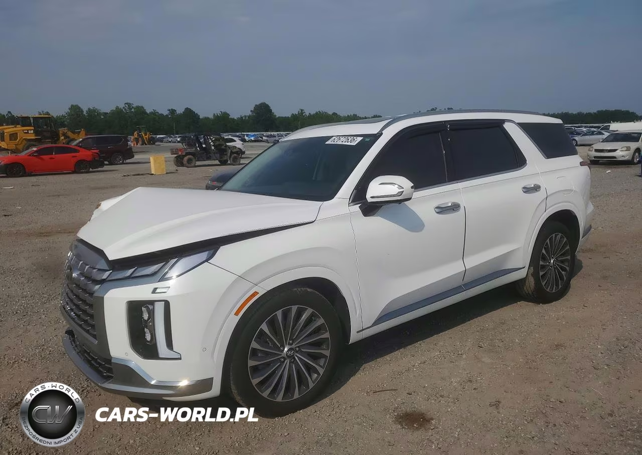 2025 Hyundai Palisade Calligraphy VIN:KM8R74GE7SU876826 - 1