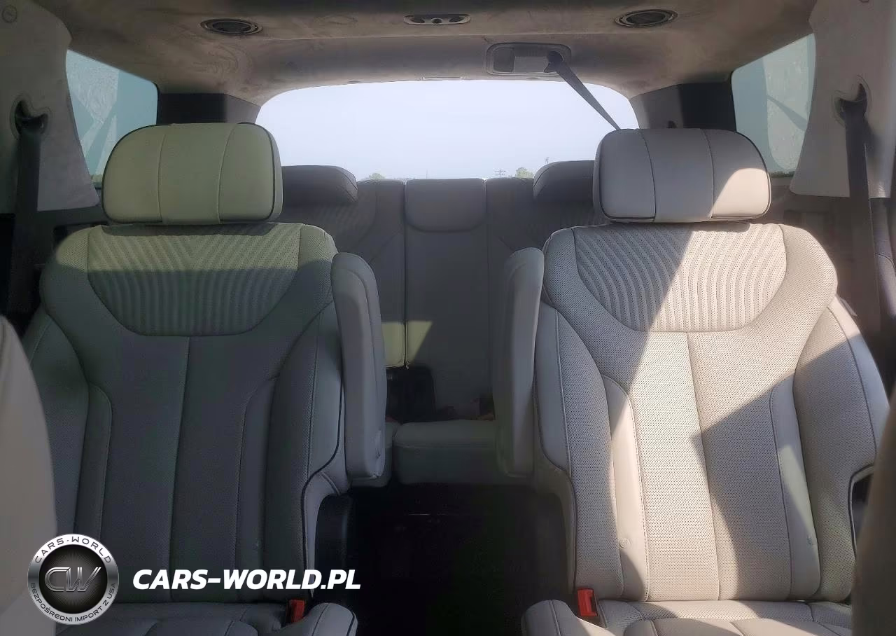 2025 Hyundai Palisade Calligraphy VIN:KM8R74GE7SU876826 - 10