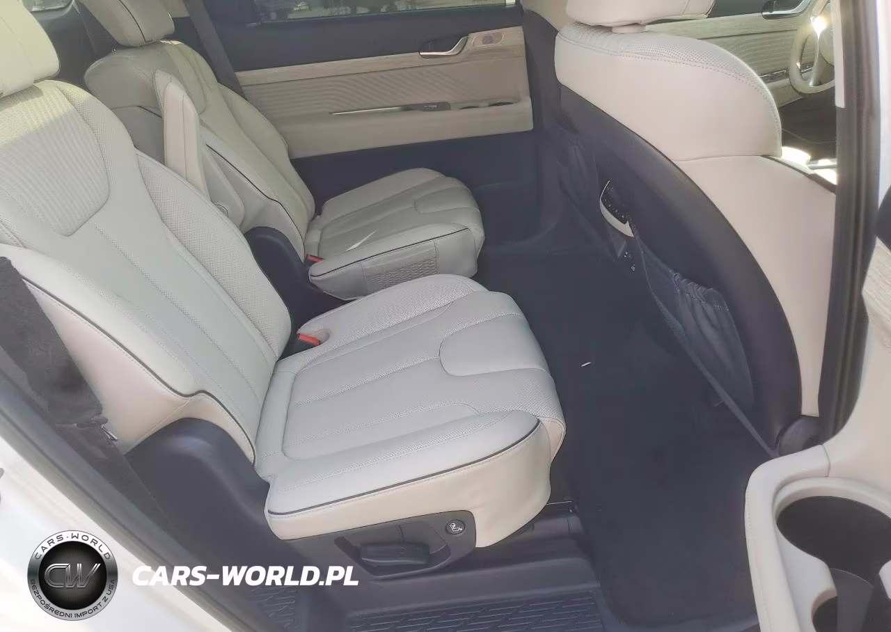 2025 Hyundai Palisade Calligraphy VIN:KM8R74GE7SU876826 - 11