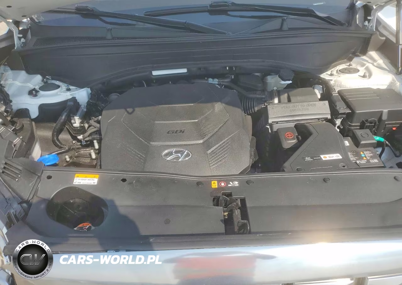2025 Hyundai Palisade Calligraphy VIN:KM8R74GE7SU876826 - 12