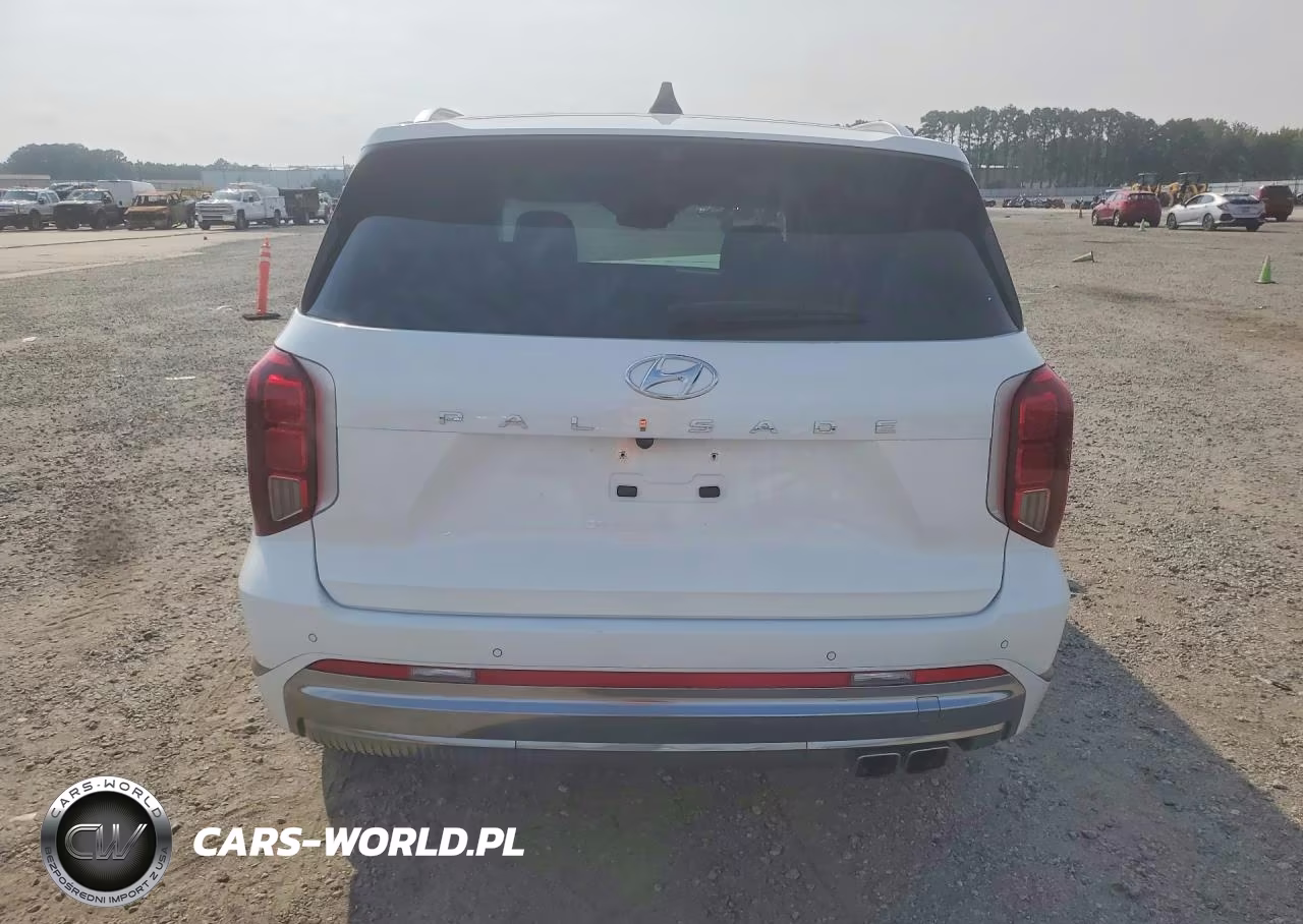 2025 Hyundai Palisade Calligraphy VIN:KM8R74GE7SU876826 - 6