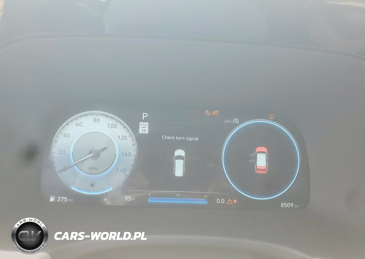 2025 Hyundai Palisade Calligraphy VIN:KM8R74GE7SU876826 - 9