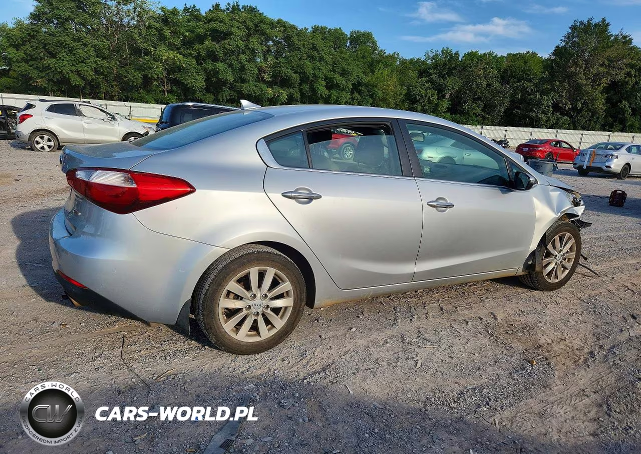2014 Kia Forte Ex VIN:KNAFX4A89E5123689 - 3