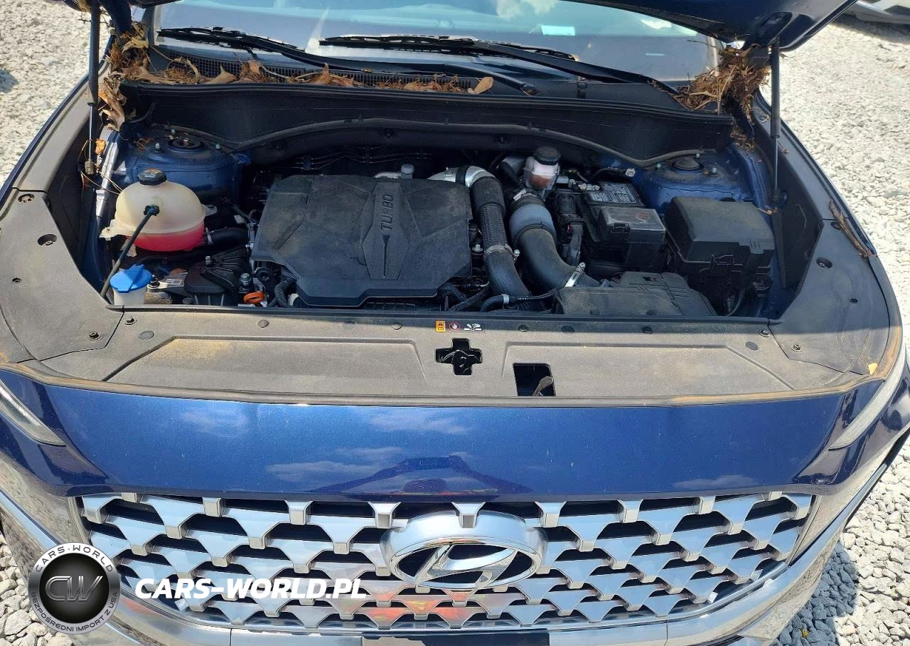 2023 Hyundai Santa Fe Limited VIN:5NMS4DAL3PH541261 - 12