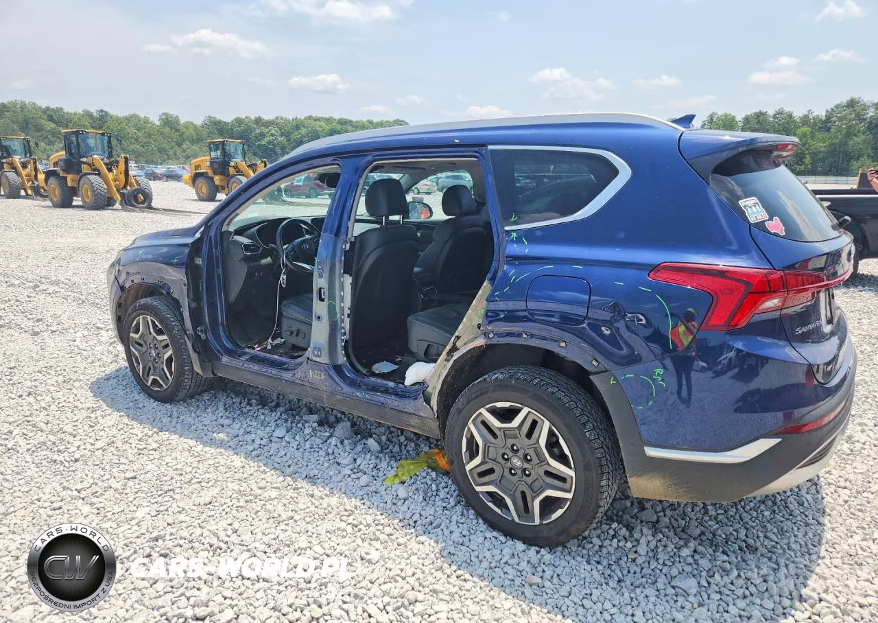 2023 Hyundai Santa Fe Limited VIN:5NMS4DAL3PH541261 - 2