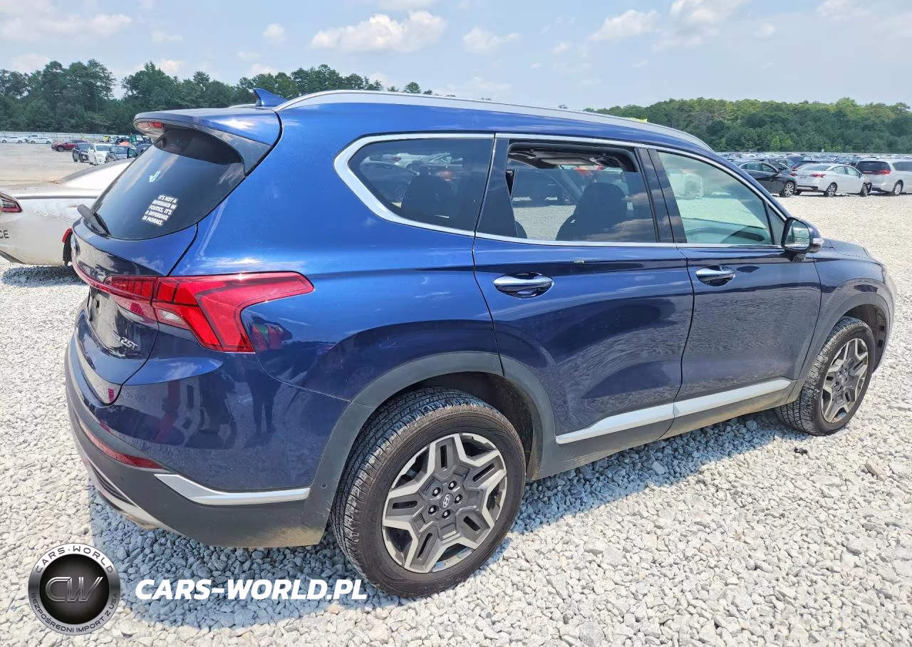 2023 Hyundai Santa Fe Limited VIN:5NMS4DAL3PH541261 - 3