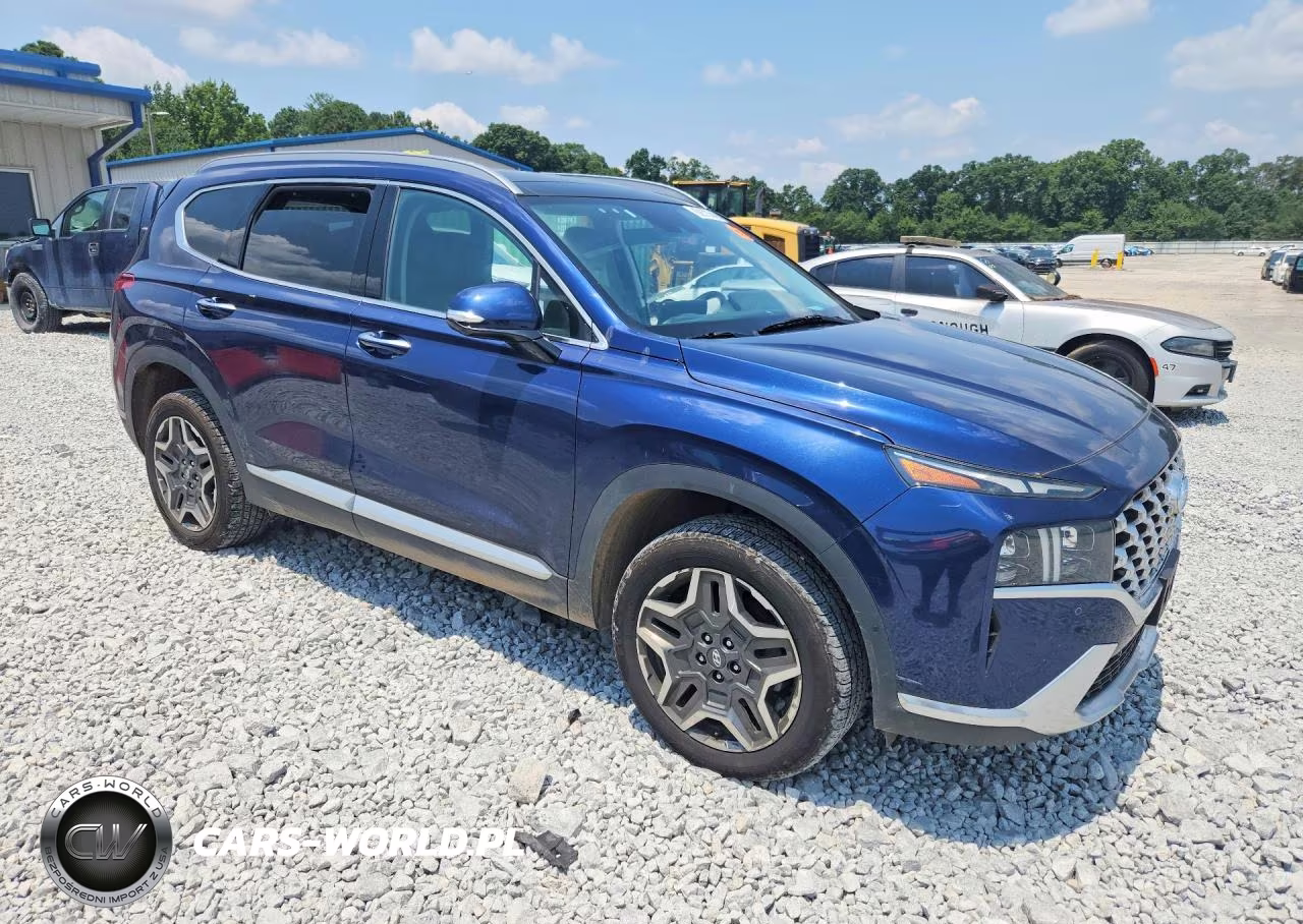 2023 Hyundai Santa Fe Limited VIN:5NMS4DAL3PH541261 - 4