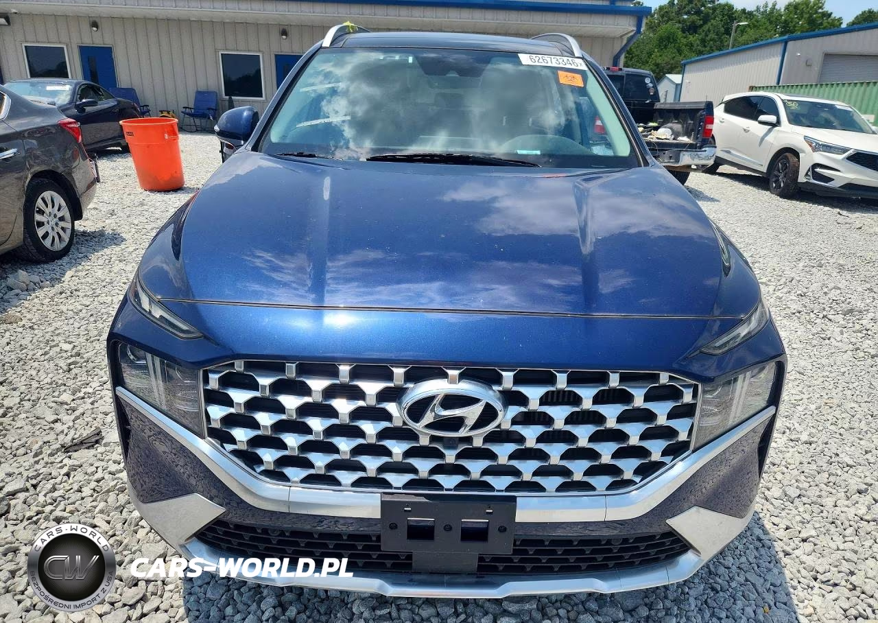 2023 Hyundai Santa Fe Limited VIN:5NMS4DAL3PH541261 - 5
