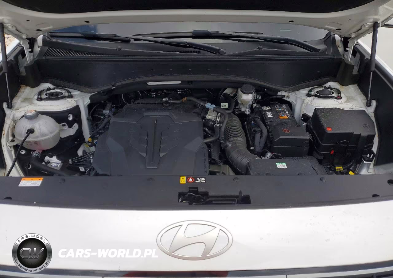 2026 Hyundai Palisade Calligraphy VIN:KM8RM5S21TU052902 - 12